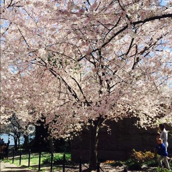 Meet your Posher, Terri