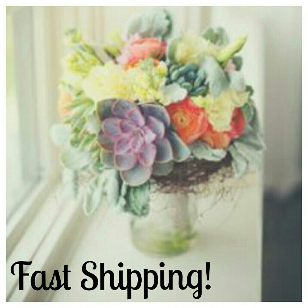 NEW Lane bryant Sophie print crop blue pants 14 LG - Picture 4 of 5