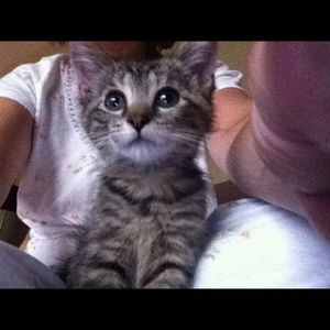 Meet your Posher, Kristin