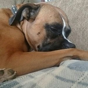 Meet your Posher, Kara