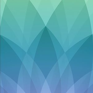 Meet your Posher, Abigail