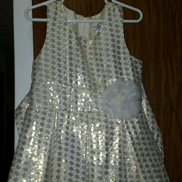 Girls champagne and gold pleated dress - Picture 1 of 2
