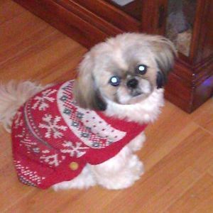 Meet your Posher, Monica