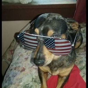 Meet your Posher, Teresa