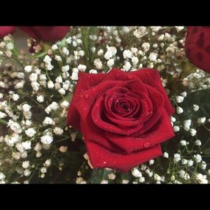 Meet your Posher, Pavlina