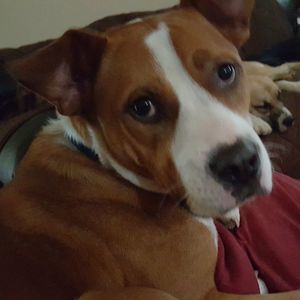 Meet your Posher, Leslie