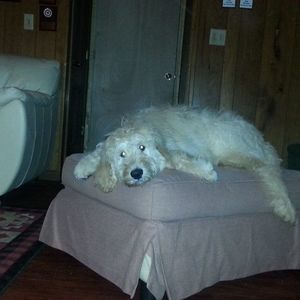 Meet your Posher, Windy valley