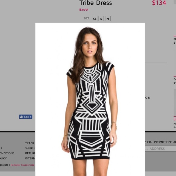 Zebra Dress