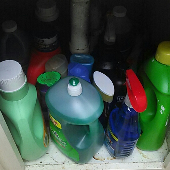 Meet your Posher, Rena - Picture 1 of 1