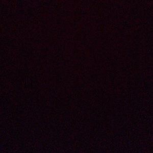 Meet your Posher, Carter