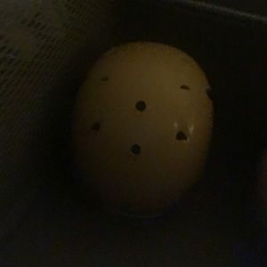 Meet your Posher, Nick