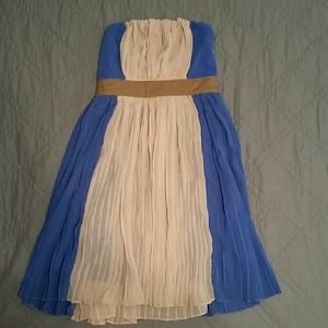 Blue and Nude Pleated Strapless Dress