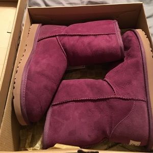 Women's aster uggs