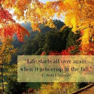 Meet your Posher, Jami