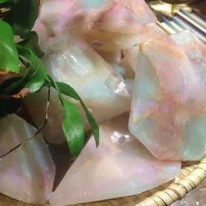 Meet your Posher, Riley