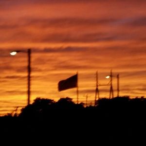 Meet your Posher, Lea