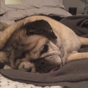 Meet your Posher, Kristen