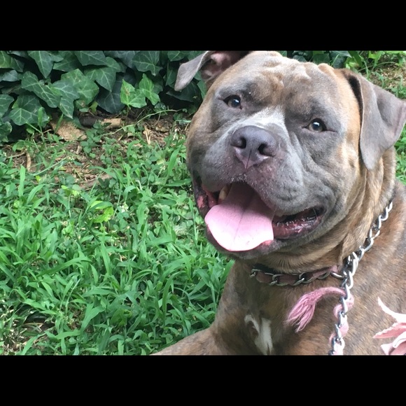 Meet your Posher, J - Picture 3 of 8