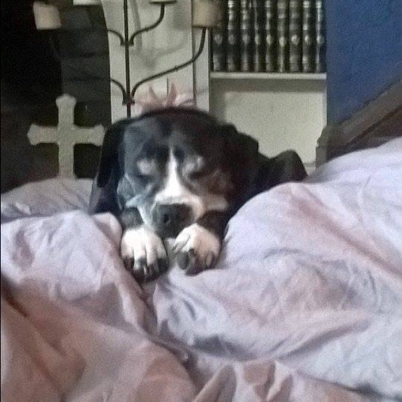 Meet your Posher, J - Picture 4 of 8