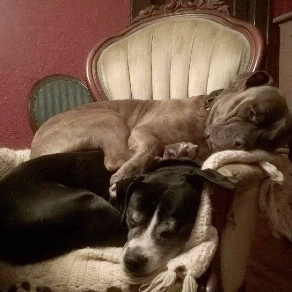 Meet your Posher, J - Picture 5 of 8