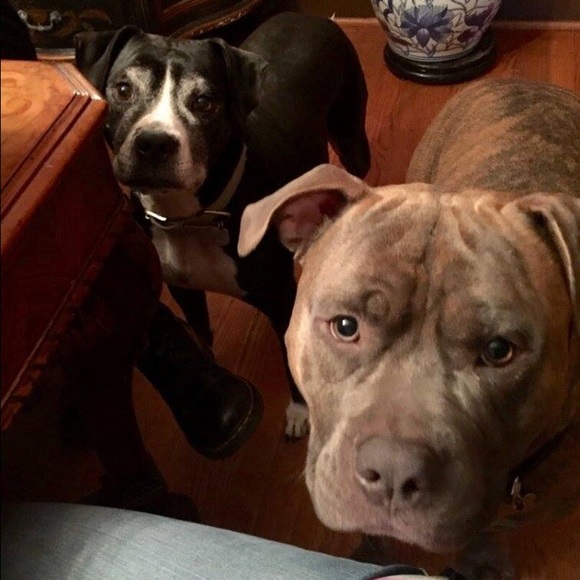 Meet your Posher, J - Picture 6 of 8