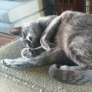 Meet your Posher, Mary