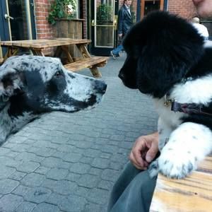 Meet your Posher, Karen