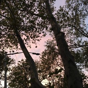 Meet your Posher, Valentina