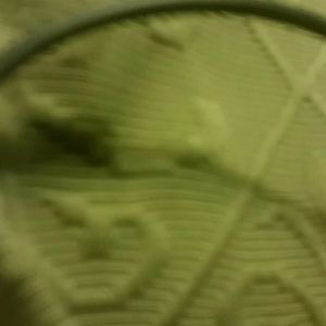 Meet your Posher, Charlene