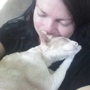 Meet your Posher, Robin