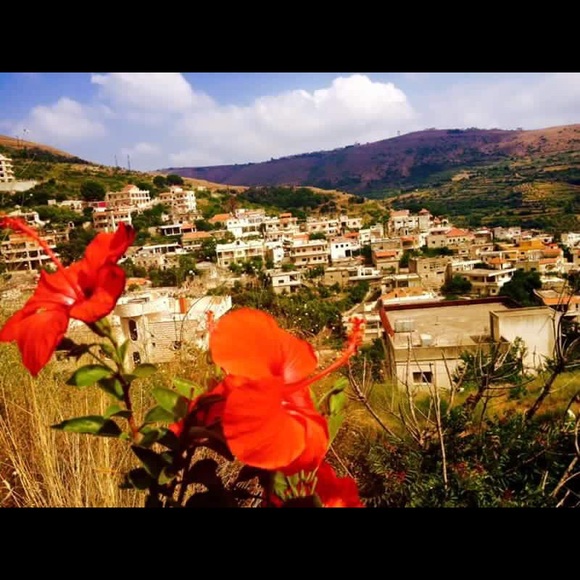 Meet your Posher, Georgette - Picture 1 of 1