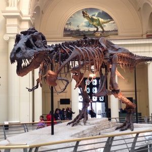 Meet your Posher, Jenna