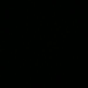 Meet your Posher, Tamika