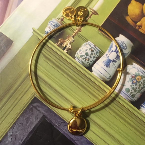 Alex & Ani Bracelet - Picture 4 of 4