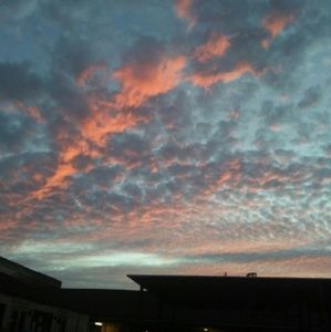 Meet your Posher, Rosa