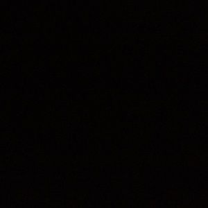 Meet your Posher, Brady