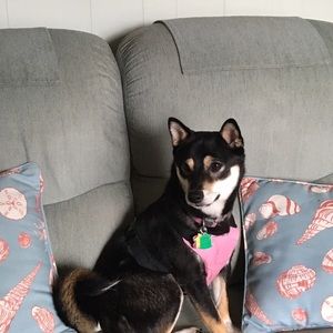 Meet your Posher, Chelsea