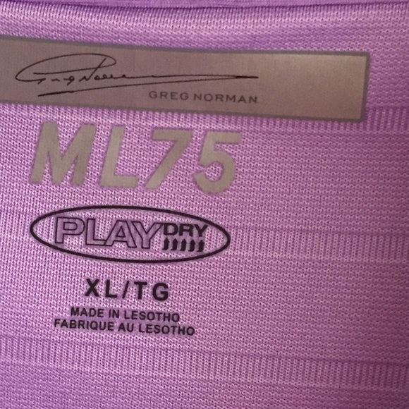 Polo - Picture 2 of 3