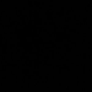 Meet your Posher, Destiny