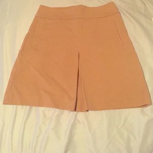 Ann Taylor LOFT Pencil Skirt