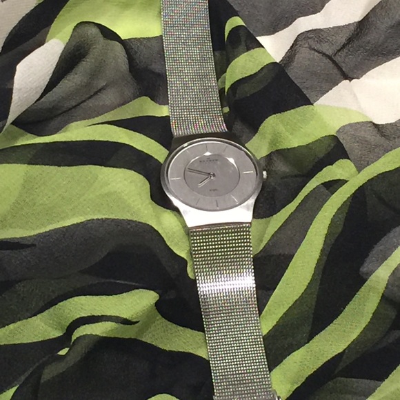 Skagen Women's 233SSS Silvertone Watch - Picture 4 of 4