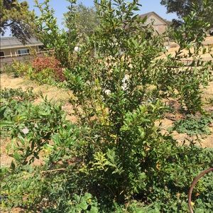 Meet your Posher, Fadia