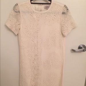 Loft Palm Stitched Shift Dress