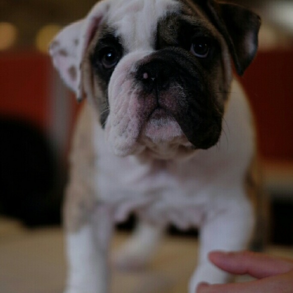 Meet your Posher, Eshelle