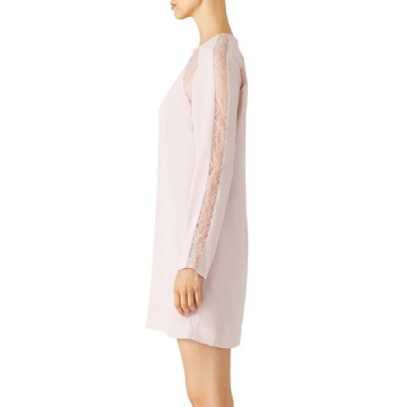 Bcbg Payton lace dress in blush pink. - Picture 3 of 4