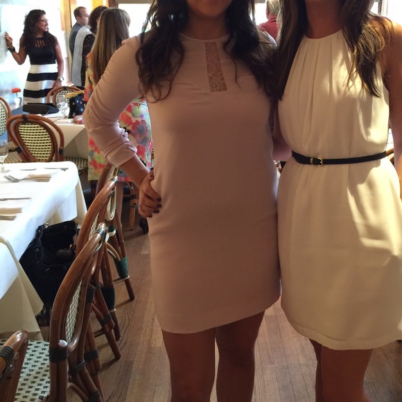 Bcbg Payton lace dress in blush pink. - Picture 4 of 4