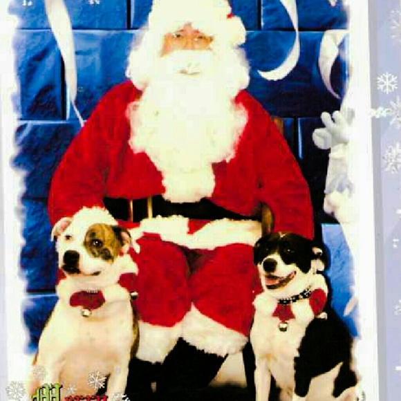 Meet your Posher, Robin - Picture 1 of 1