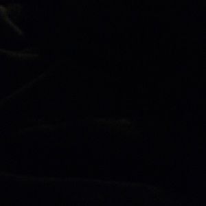 Meet your Posher, Sha