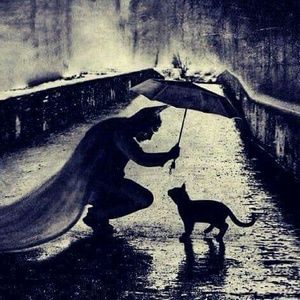 Meet your Posher, The