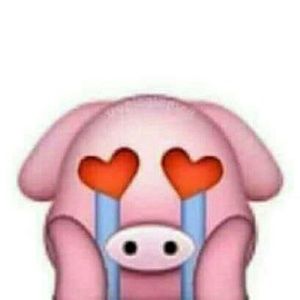 Meet your Posher, Mayra